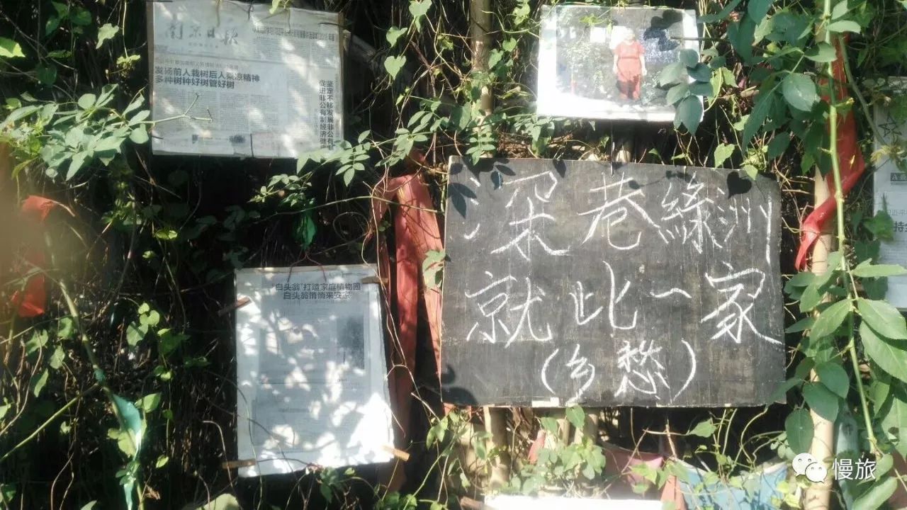 慢旅南京｜城南旧事之一，评事街清溪漫品