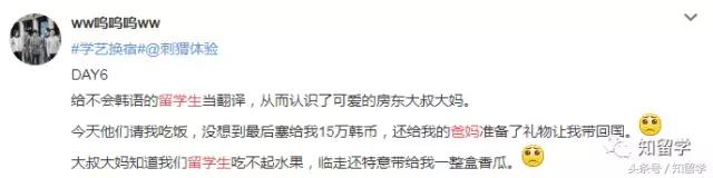 留学生与番茄炒蛋,一盘番茄炒蛋完整版