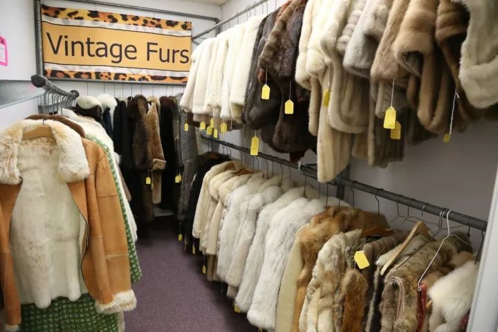 皮草是环保公敌吗,真假皮草有什么区别