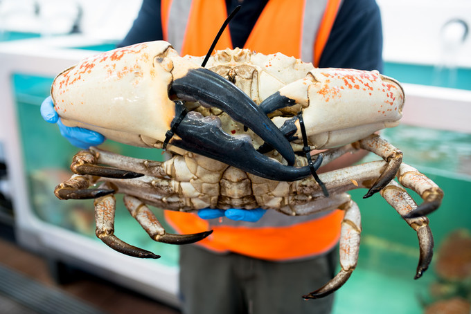 必点海鲜夜市,哪里的夜市海鲜比较多