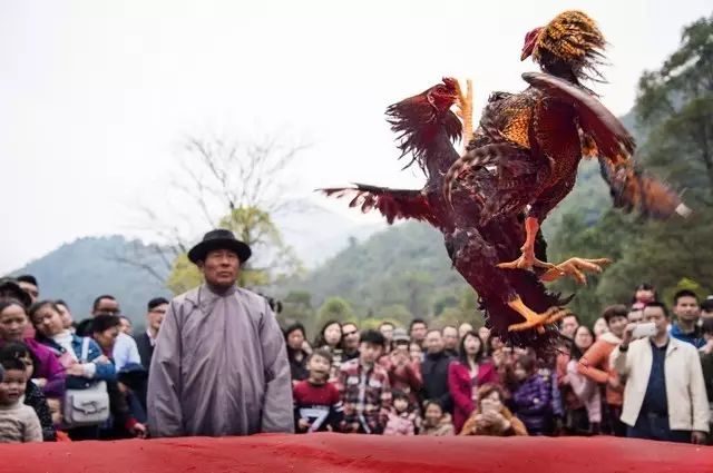 中摄协发布：雷山县苗年暨第十届中国原生态国际摄影大展欢迎您！