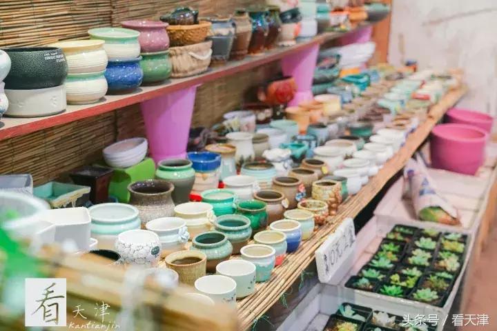 天津宝鸡道花鸟鱼虫市场鹦鹉全吗,天津市宝鸡道花鸟鱼虫市场文玩