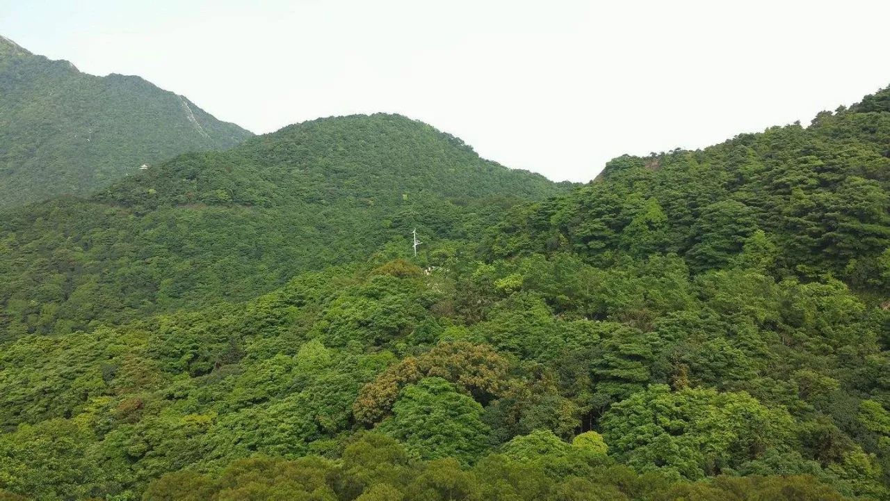 鹏城第一峰梧桐山要不要门票,鹏城第一峰梧桐山顶
