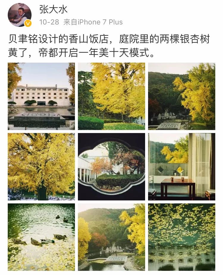 京城赏秋打卡胜地,京城赏荷最佳路线图