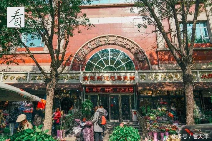 天津宝鸡道花鸟鱼虫市场鹦鹉全吗,天津市宝鸡道花鸟鱼虫市场文玩