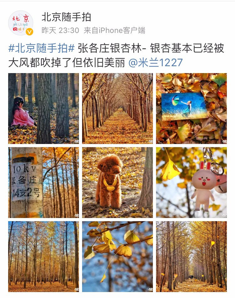 京城赏秋打卡胜地,京城赏荷最佳路线图