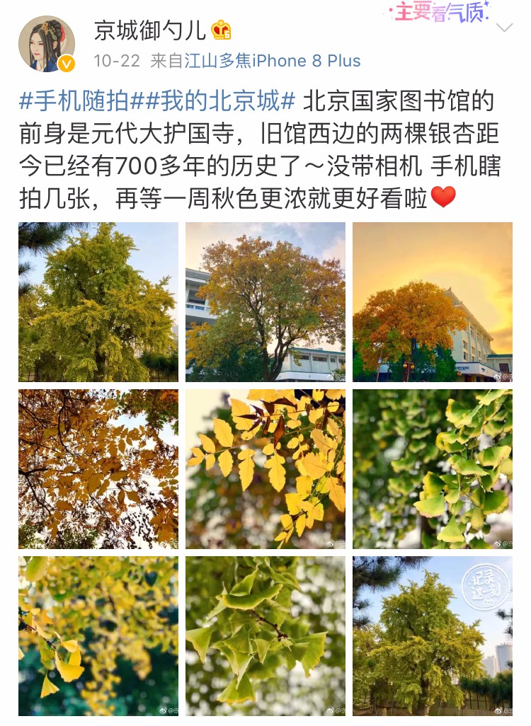 京城赏秋打卡胜地,京城赏荷最佳路线图