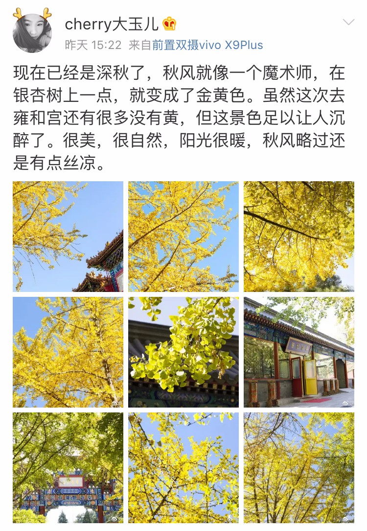 京城赏秋打卡胜地,京城赏荷最佳路线图