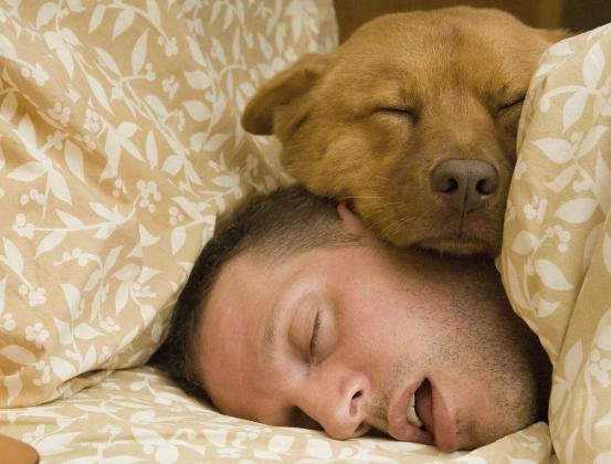 白色毛衣容易变黑,黑毛衣穿久变色怎么恢复如新