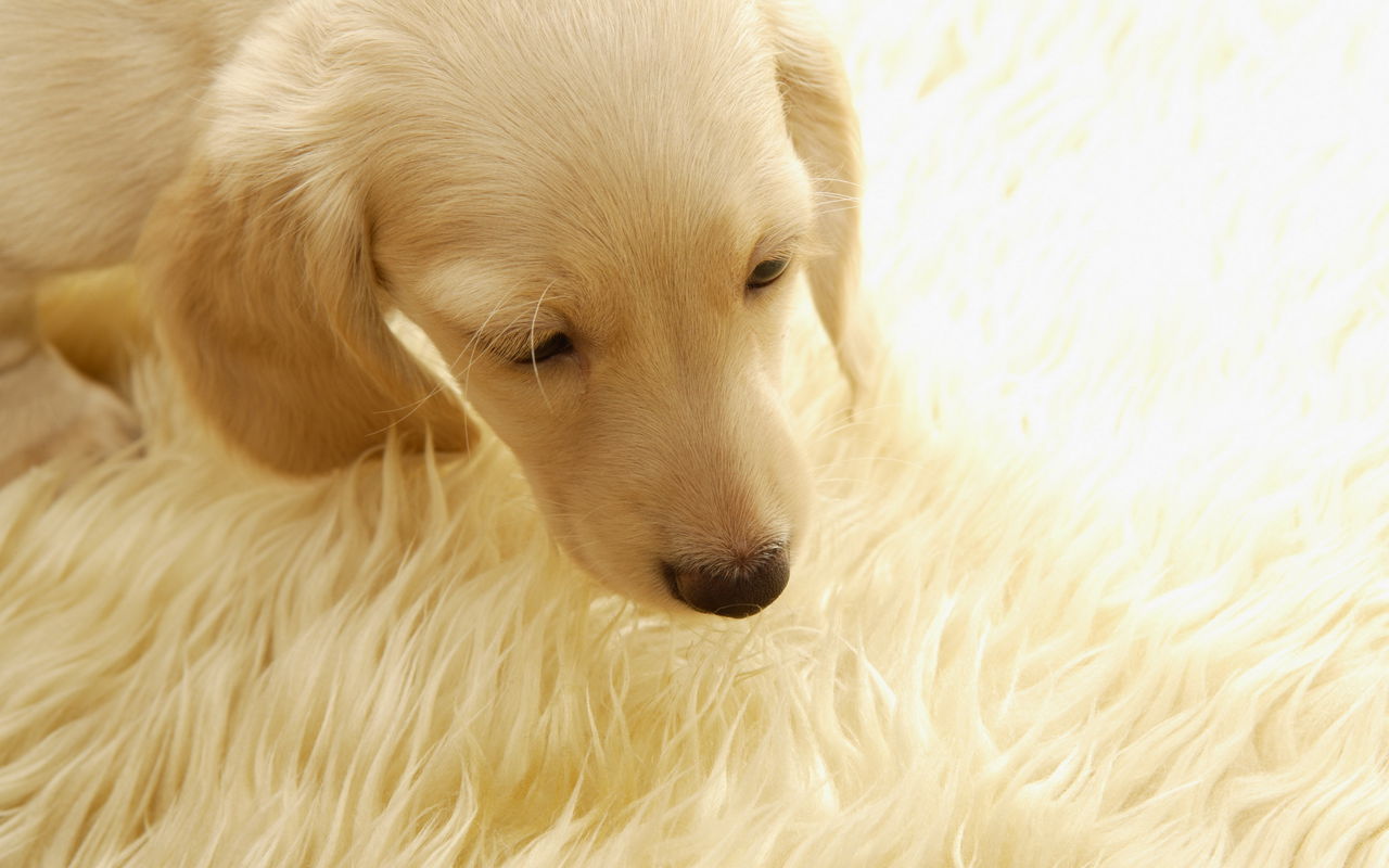 眼睛发红有红血丝是什么问题,这些细节问题莫忽视