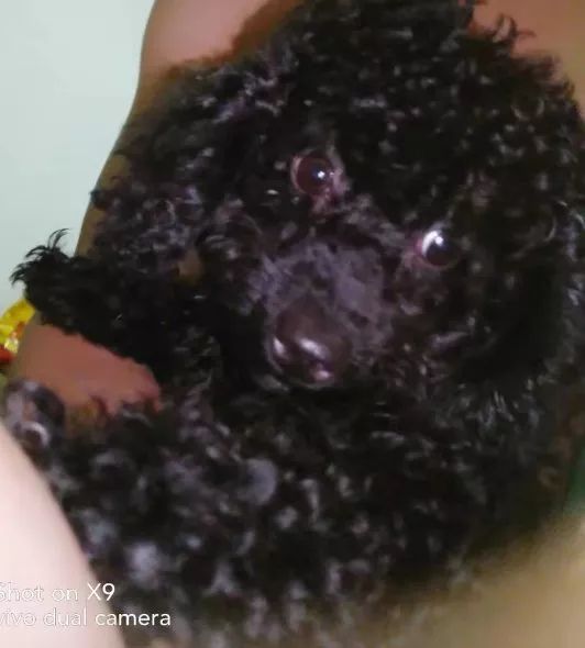 西部航空维修工程部张泽权:我所运送过的每一件航材,都是对生命的尊重