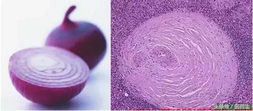 舌尖上的医疗,舌尖上的医疗篇