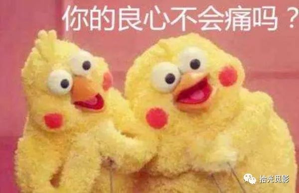 双十一电商大战视频,猫狗狮双11混战视频