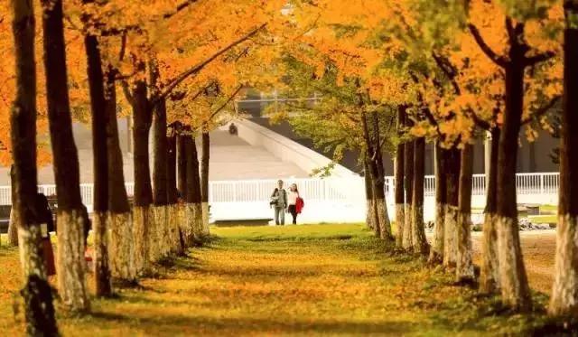 建邺区代表景点是哪里,建邺区核心地段
