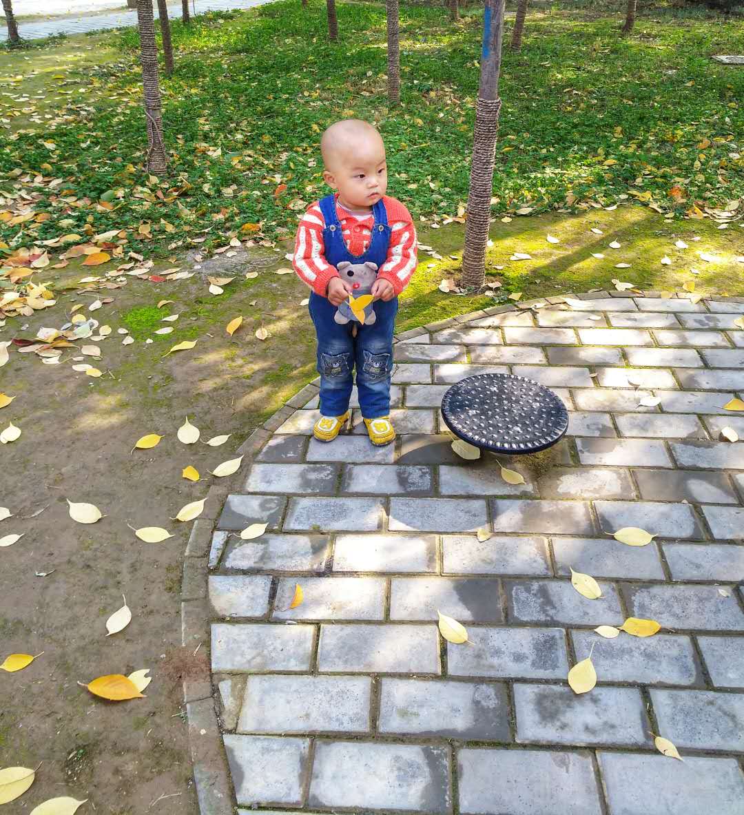 手机摄影作品也可以美不胜收,秋天手机摄影作品欣赏