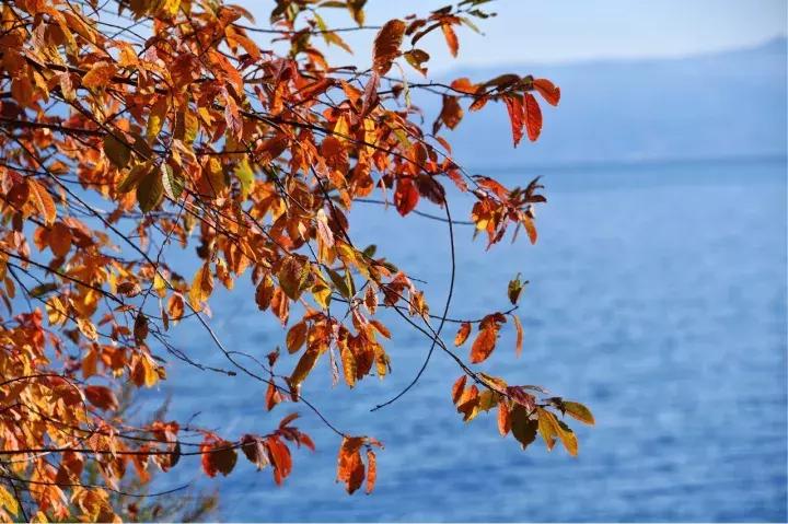 坐火车穿越俄罗斯西伯利亚,欧洲火车途经小镇