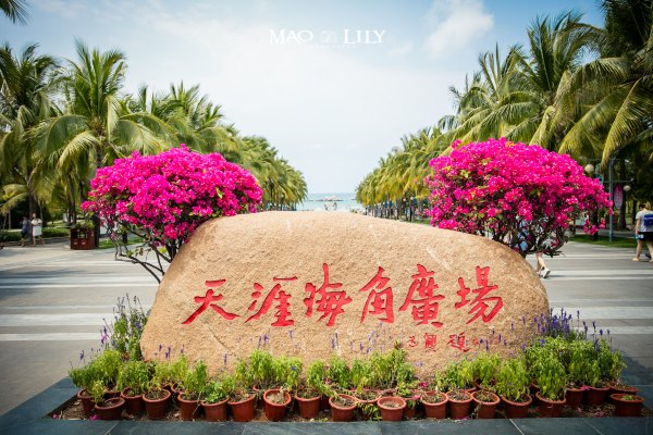 有独立泳池的度假酒店,这家酒店有12层楼