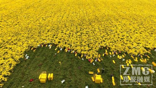 焦作失踪14岁女童已找到尸体,河南焦作俩小孩失踪