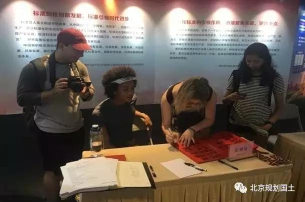 城市规划打造和谐宜居的生活环境,城乡规划和建筑标准