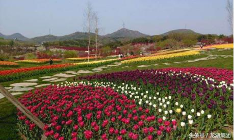 大连安静的风景区有哪些,大连治愈系胜地
