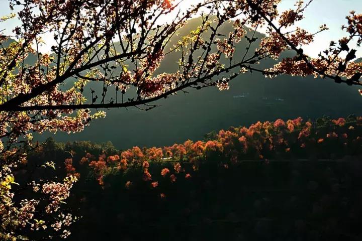 大理没有商业化的旅游景点,大理没被发现的景点