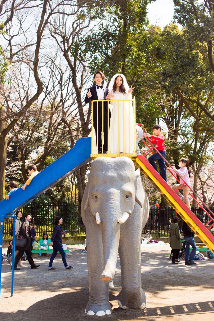 哪些明星的婚纱照比较好看,不需要奢华大牌只要干净利落