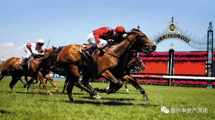 想试试赌马的运气？此攻略带你玩转墨尔本赛马节！