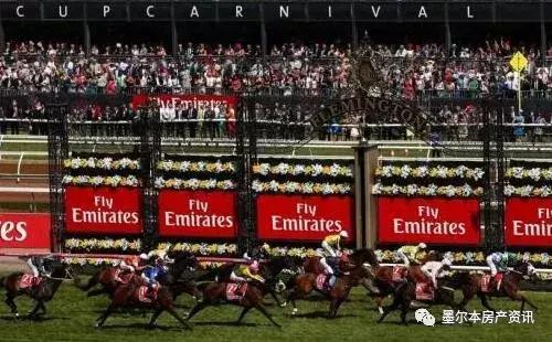 想试试赌马的运气？此攻略带你玩转墨尔本赛马节！