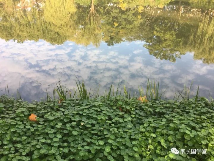 秋日偶成中程颢的人生态度,秋日偶成二首是一首什么诗