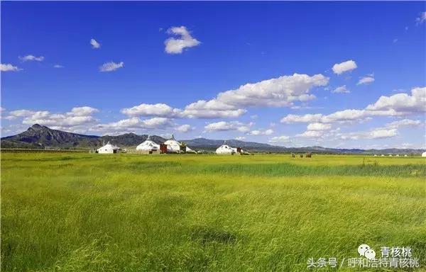 大家好这是我的家英文,大家好这是我的家图片卡通