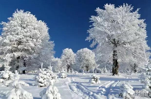 大家好这是我的家英文,大家好这是我的家图片卡通