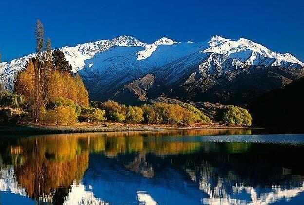 移民客户获批,移民客户推荐