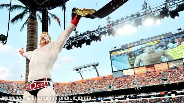 世界最强wwe布洛克,wwe布洛克输得最彻底的一次