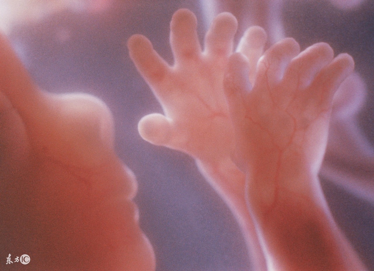 羊水为什么叫羊水秒懂知识,羊水是怎么产生的为什么羊水少