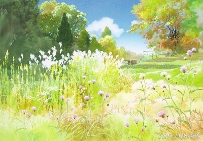 深情和绝情的水瓶座,水瓶座向往的自由是什么