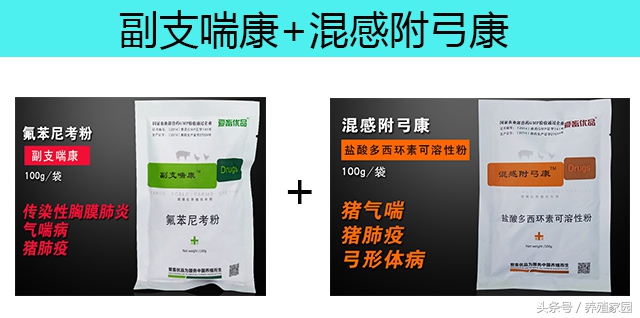 猪张嘴咳嗽喘气,猪张口喘气还叫是什么原因