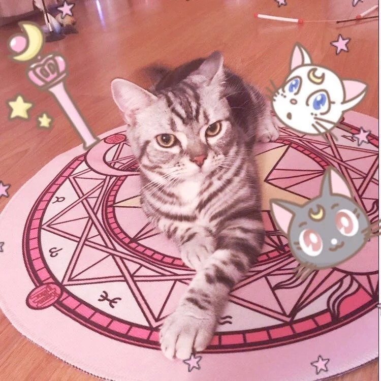 少女心实用小物,那些少女心好物