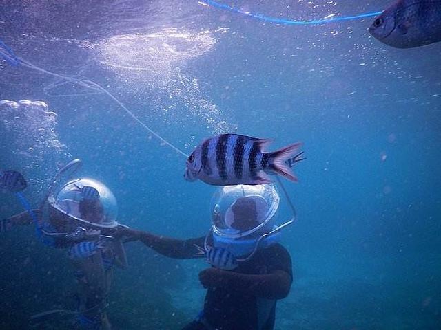 如何能够在海底漫步,海底漫步需要做什么准备