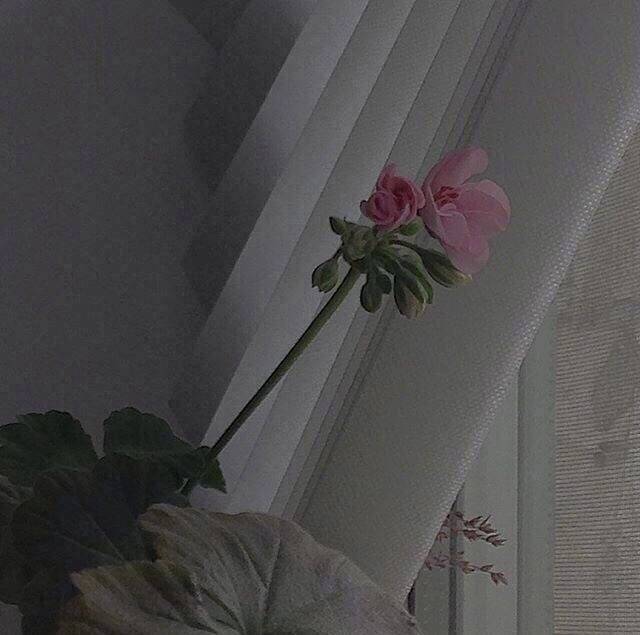 真心话大冒险跟别人说喜欢你,喜欢你一直都是真心话