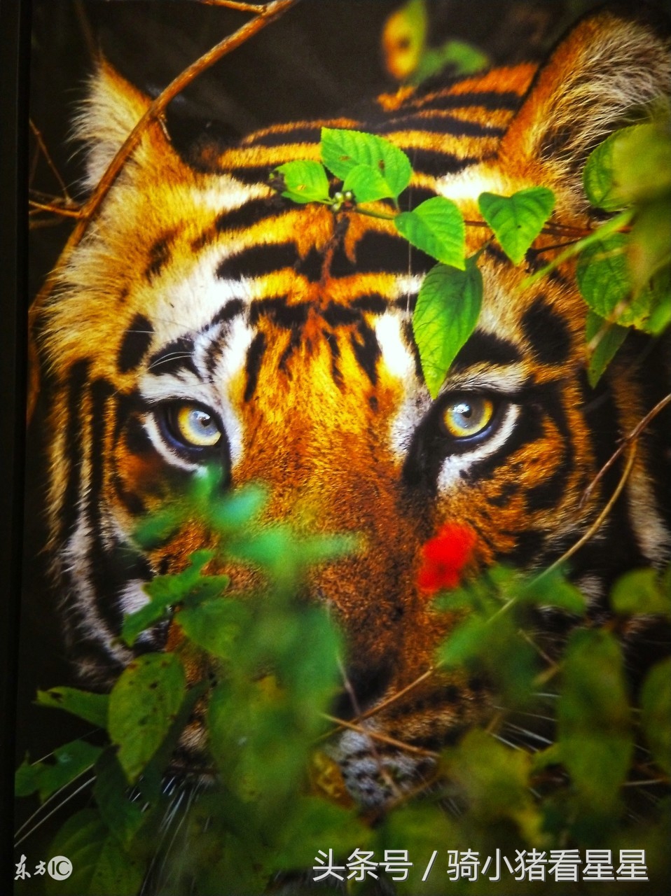 很有意思的心理测试,有趣的性格测试