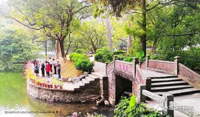 巽寮湾最美的海景,巽寮湾美丽的大海