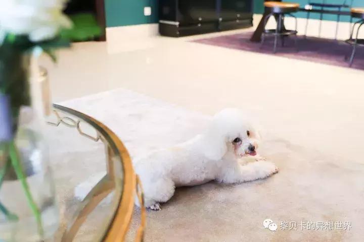 小户型衣帽间浴缸一体,浴缸衣帽间装修10平方米