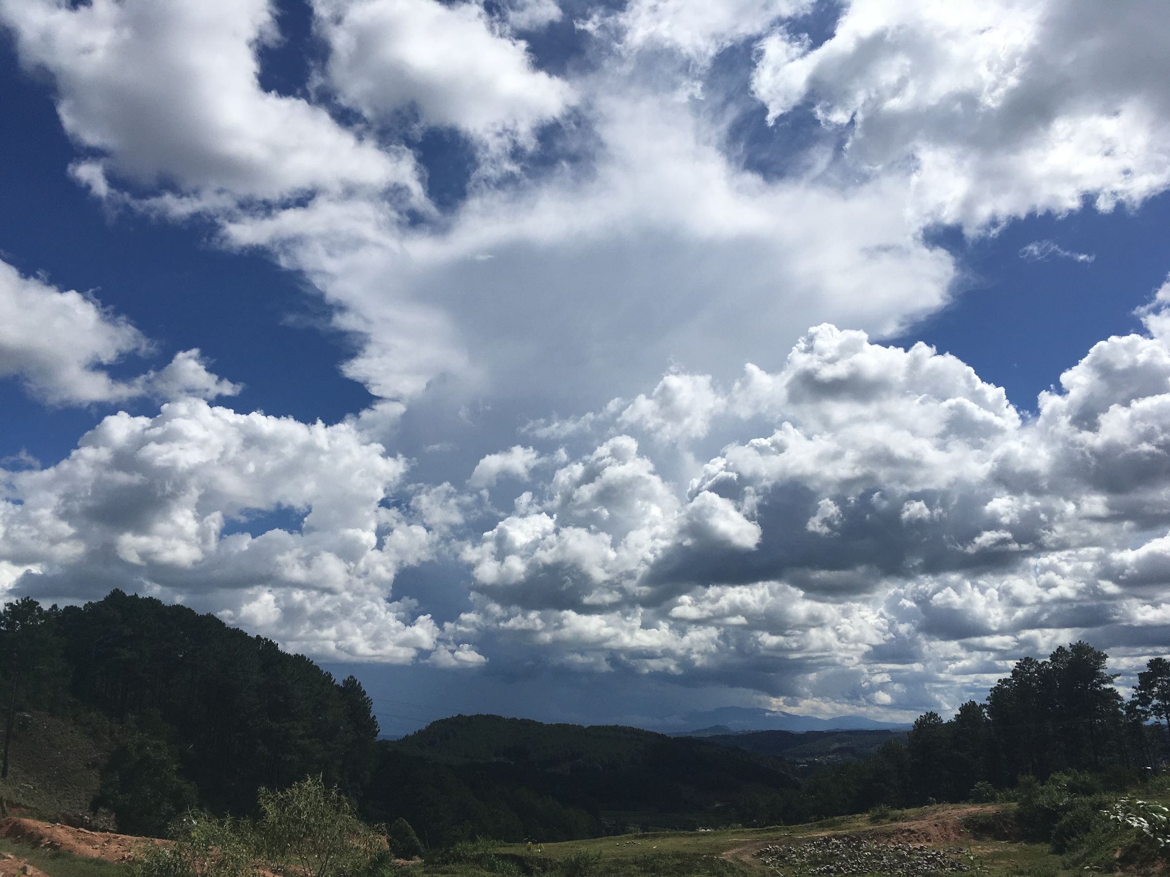 分享越南旅游攻略,越南大叻网红景点