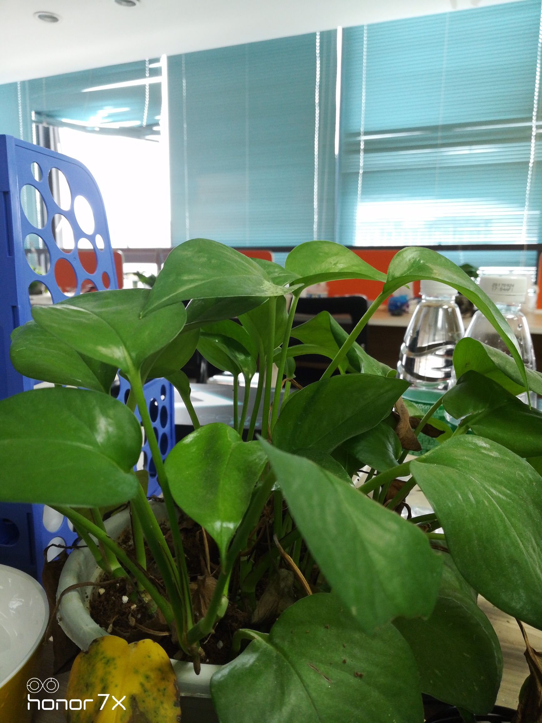 荣耀畅玩7x测评王者荣耀,手机评测荣耀畅玩7c