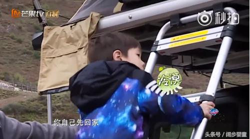 爸爸5jasper小泡芙,刘畊宏女儿泡芙和嗯哼陈小春