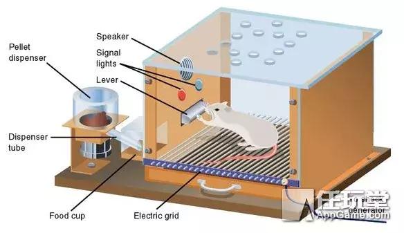 不用氪金也能开箱游戏,双十一游戏开箱