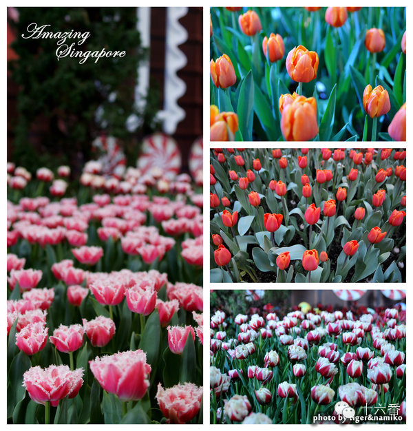 你从来没有留意过的中转站，可能比目的地更好玩！