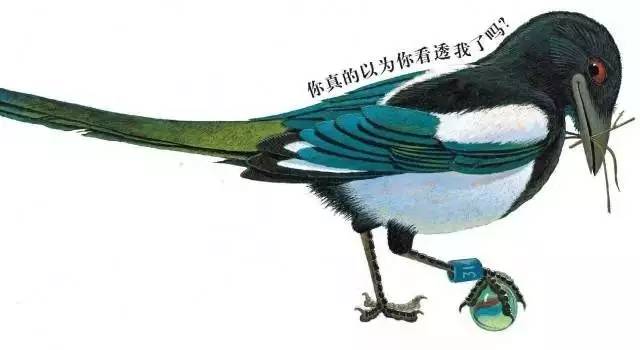 它把人类不要的垃圾当宝贝