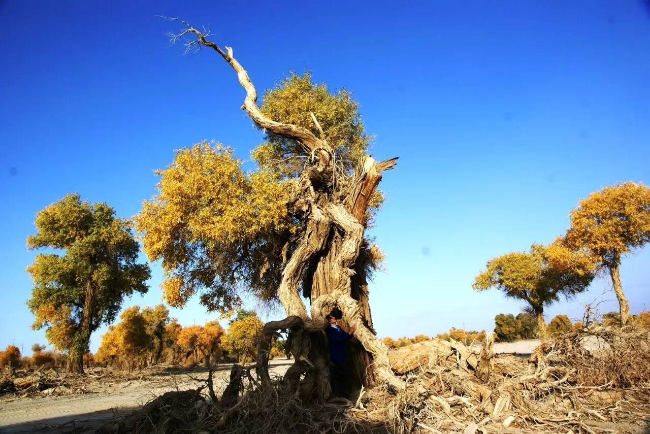 假期出游的风景,假期里遇见一个美丽的风景