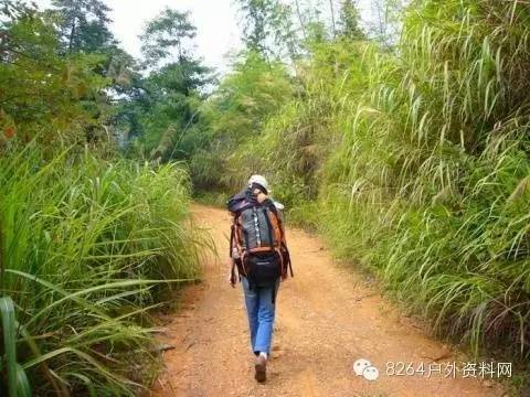 野外防迷路有哪些绝招,户外迷路自救技巧